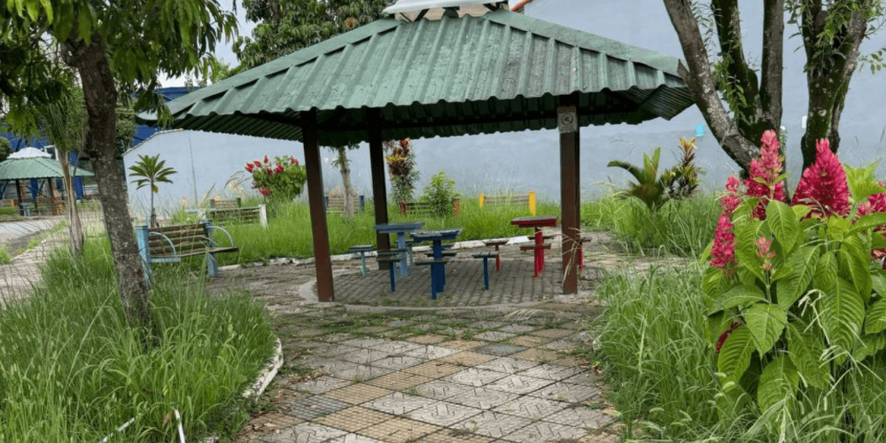 Topo do site (1)