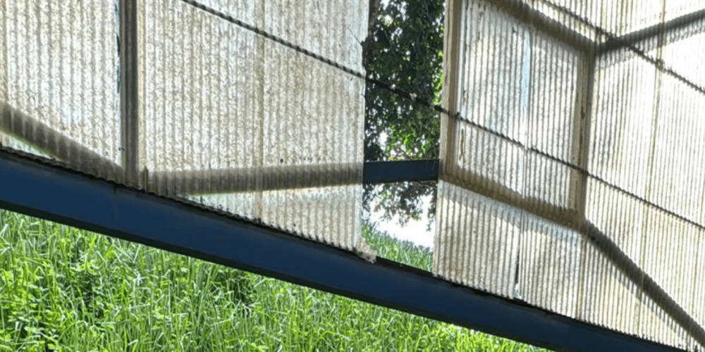 Topo do site (7)